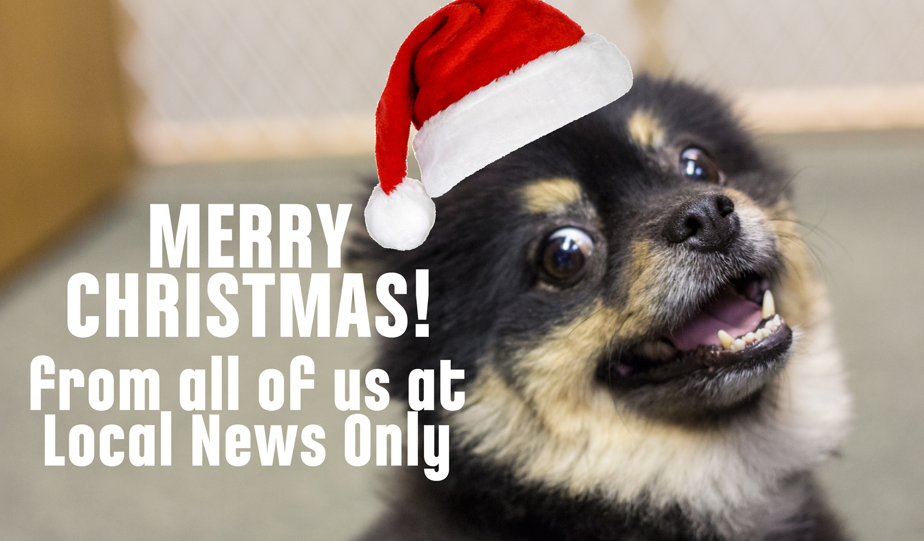 Merry Christmas from Local News Only!