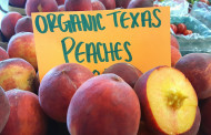 GRAPEVINE MARKET & GRAPEVINE FARMERS MARKET NOW OPEN Thursday, Friday, Saturday 10am to 4pm