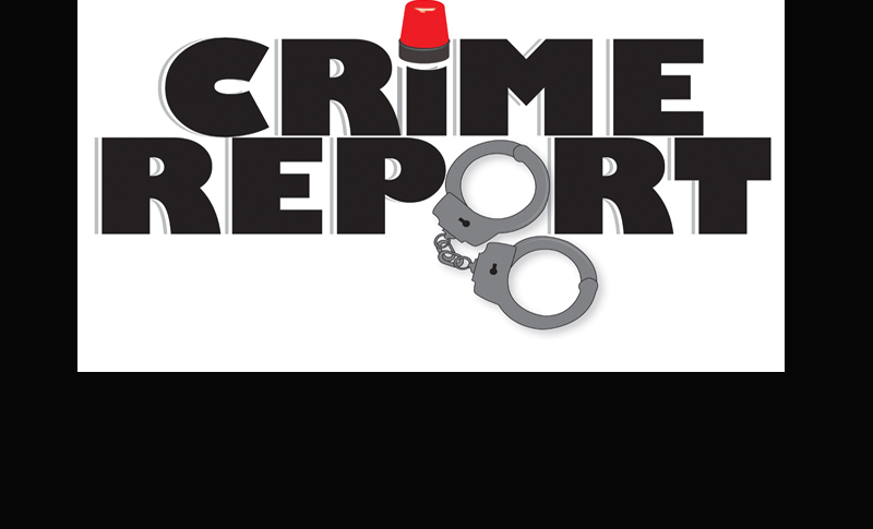 Daily Crime Report from Grapevine Police Department