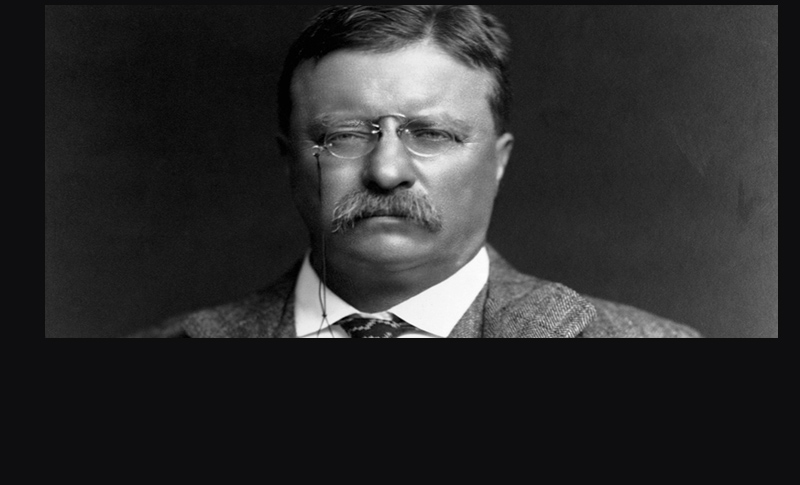 10 little-known facts about President Theodore Roosevelt