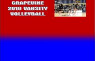 Volleyball: Grapevine Falls to Birdville in Quarter-Finals Playoff Match 3-1