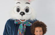 EASTER BUNNY PHOTO EXPERIENCE IS COMING SOON TO  NORTH EAST MALL TO DELIGHT FAMILIES