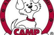 Camp Bow Wow Colleyville to open July 21st