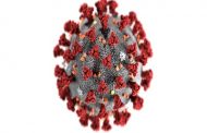 Coronavirus Diagnostics Market to Witness Significant Growth unitil 2025