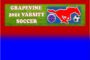 GCISD Ladies Soccer: Grapevine Mustangs Shut Out Granbury Pirates 3-0 in Bi-District Playoff Match