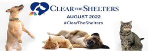 Clear the Shelters - N Richland Hills Waives Adoption Fees for the Month of August